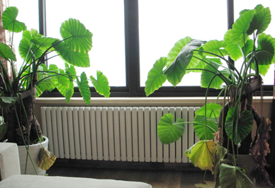 汽車散熱器夏日防暑大作戰(zhàn)